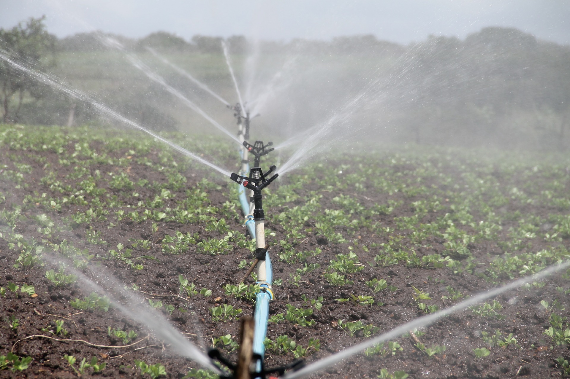 irrigation-national-geographic-society